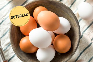 eggs outbreak