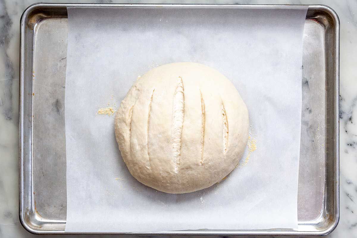 No-Knead Dutch Oven Bread on a parchment covered baking sheet with the slits in the top of the dough.