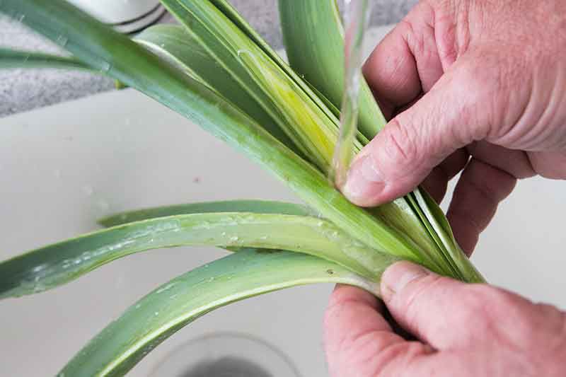 rinse cut leek under running water to remove dirt from the leek