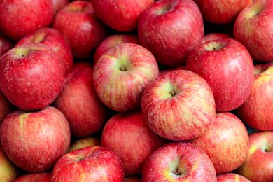 pile of apples 