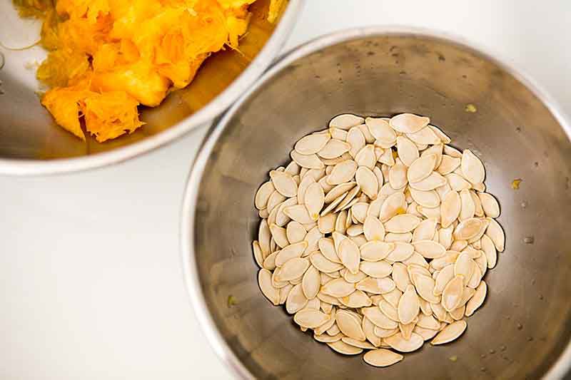 A bowl of freshly cleaned pumpkin seeds 