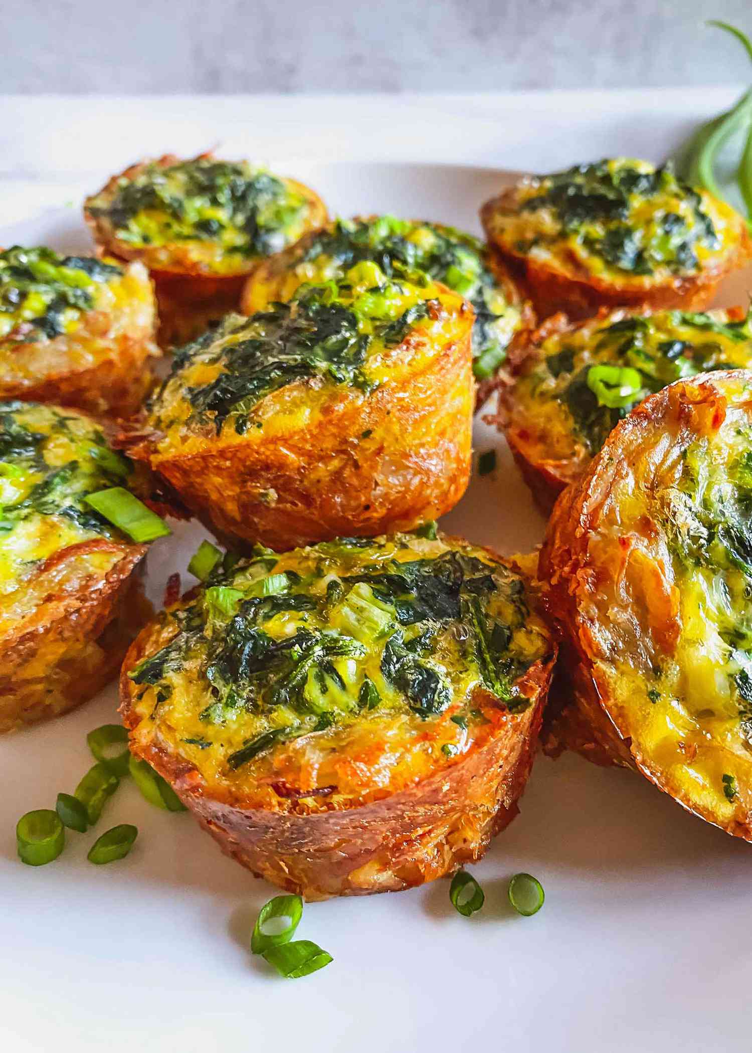 Muffin hash brown and egg bites are viewed from the side and on a white platter.