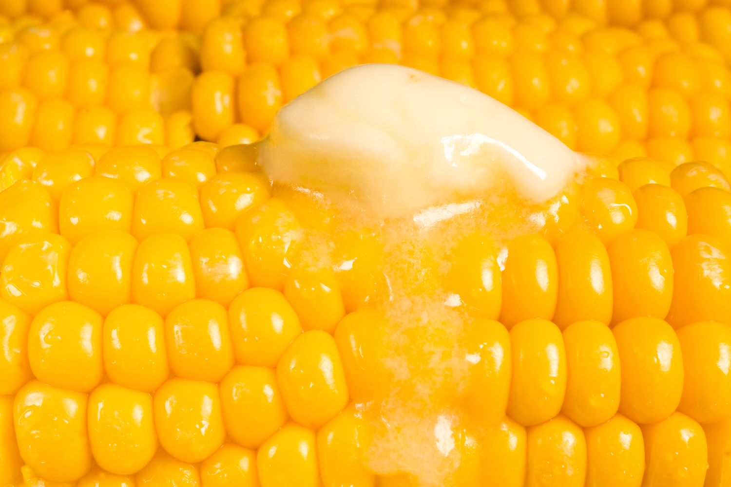 corn on the cob with a dollop of melting butter (close-up)