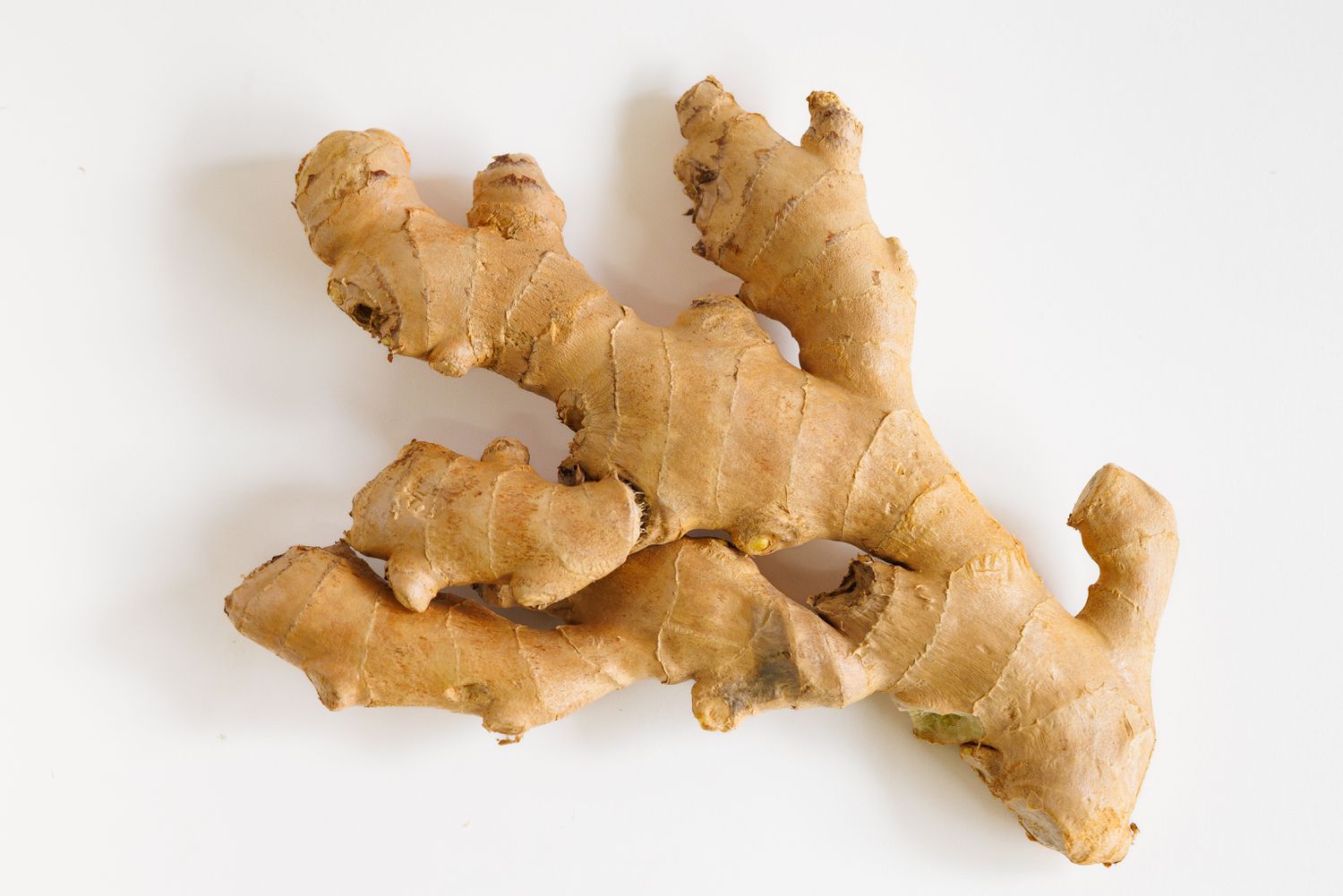 A piece of ginger root on a white background