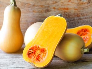 Butternut squash cut in half