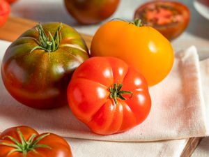 heirloom tomatoes (various colors) on a kitchen towel surrounded by more heirloom tomatoes (some cut in half)