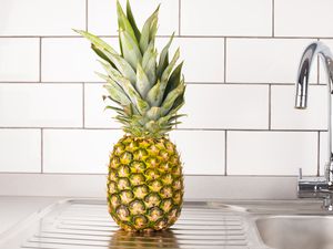 Pineapple on a kitchen countertop next to a sink