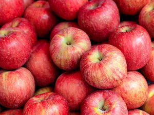 pile of apples 