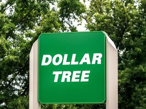 A Dollar Tree sign with a green background and white text surrounded by trees