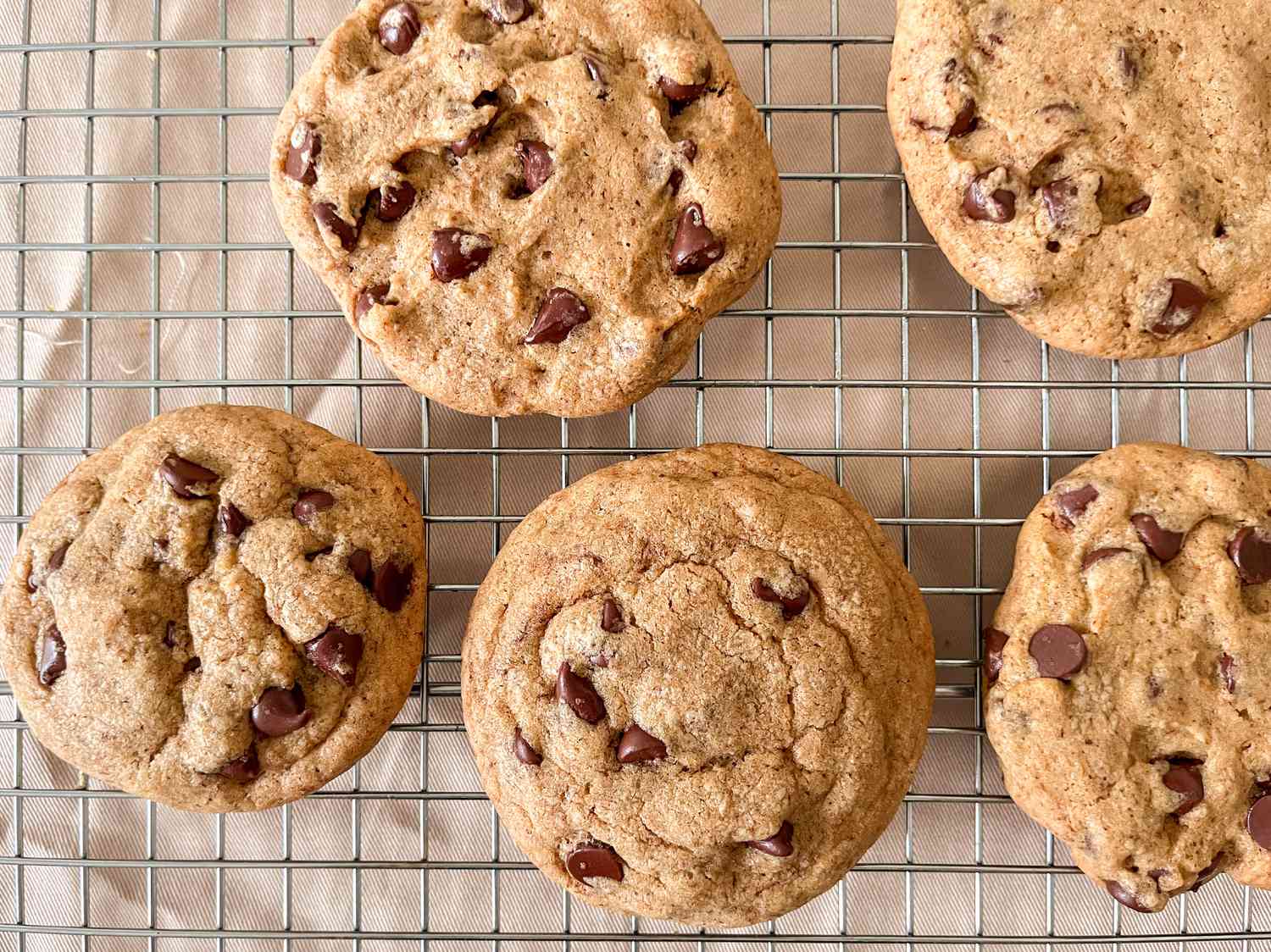 Chocolate cookies sitting on a metal cooling rack. 