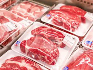 Packaged cuts of meat displayed in a store cooler