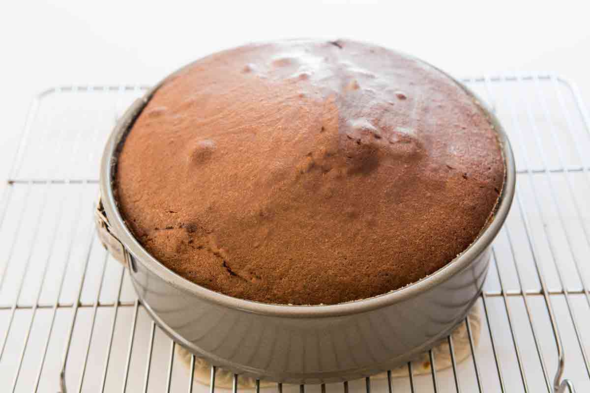 cooling bittersweet chocolate cake from the silver palate cookbook