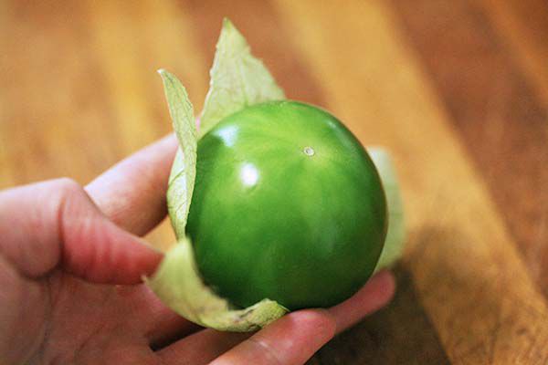 A tomatillo with its outer layer peeled away 