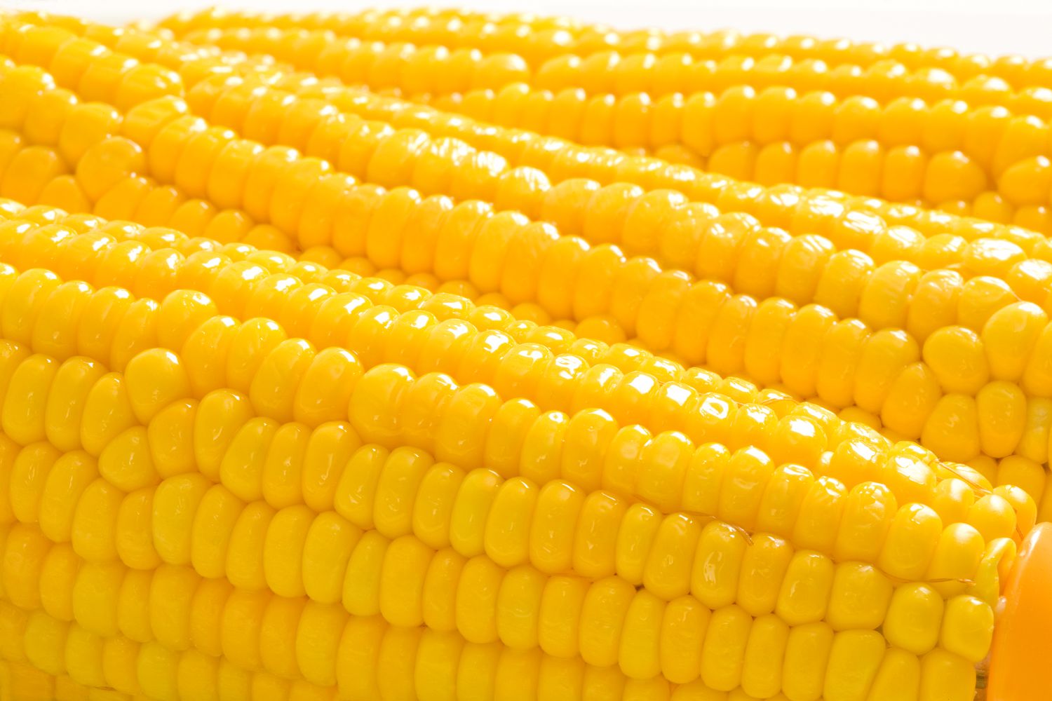 three corn on the cob