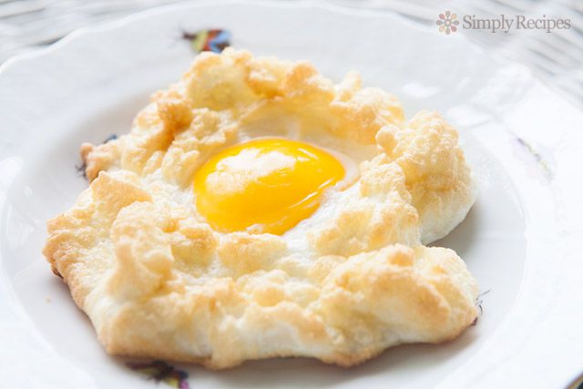 Egg Nests