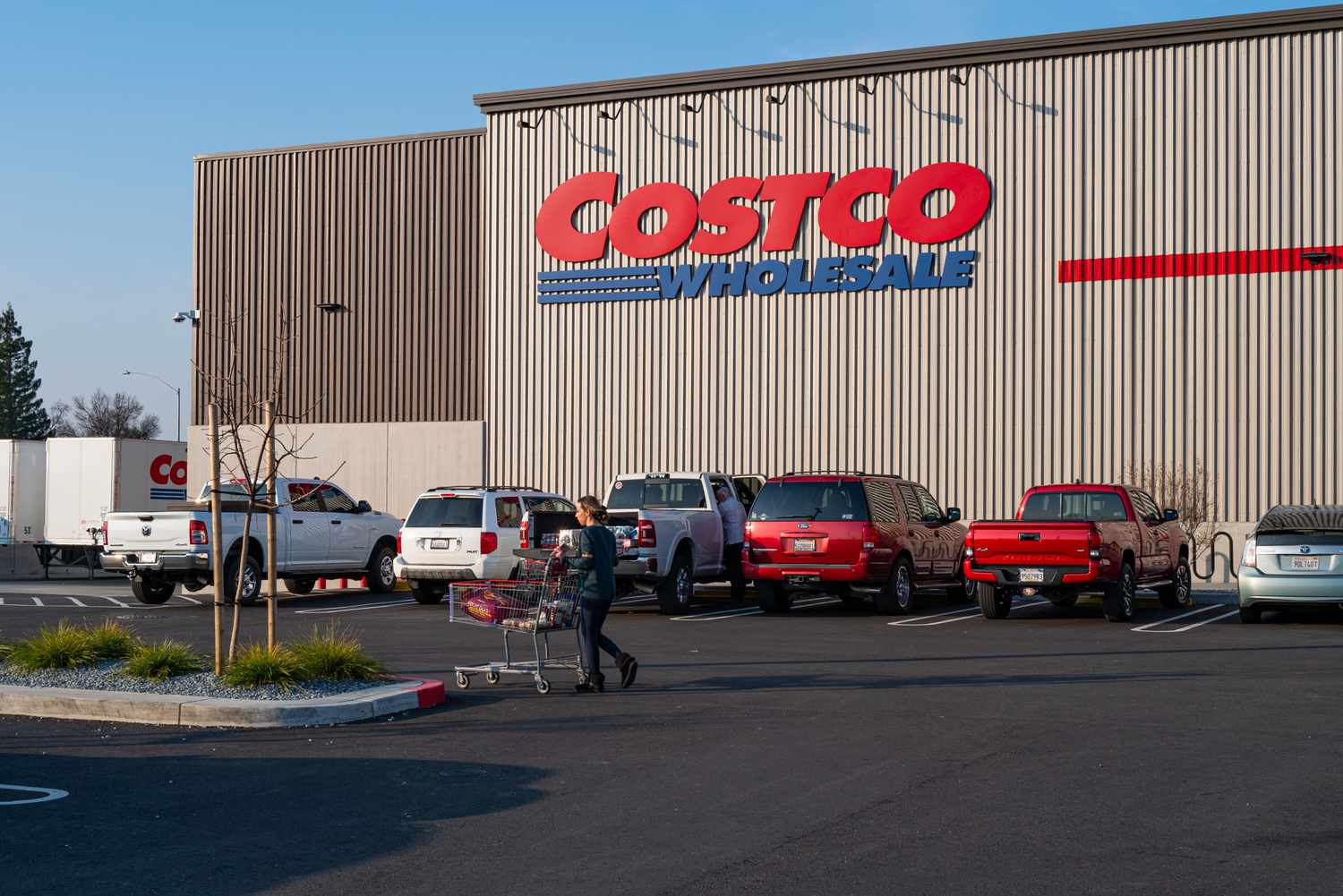 Person pushing a shopping cart in the parking lot of a Costco store
