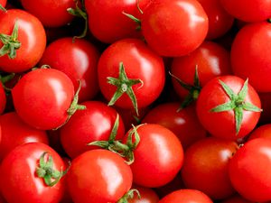 A group of cherry tomatoes