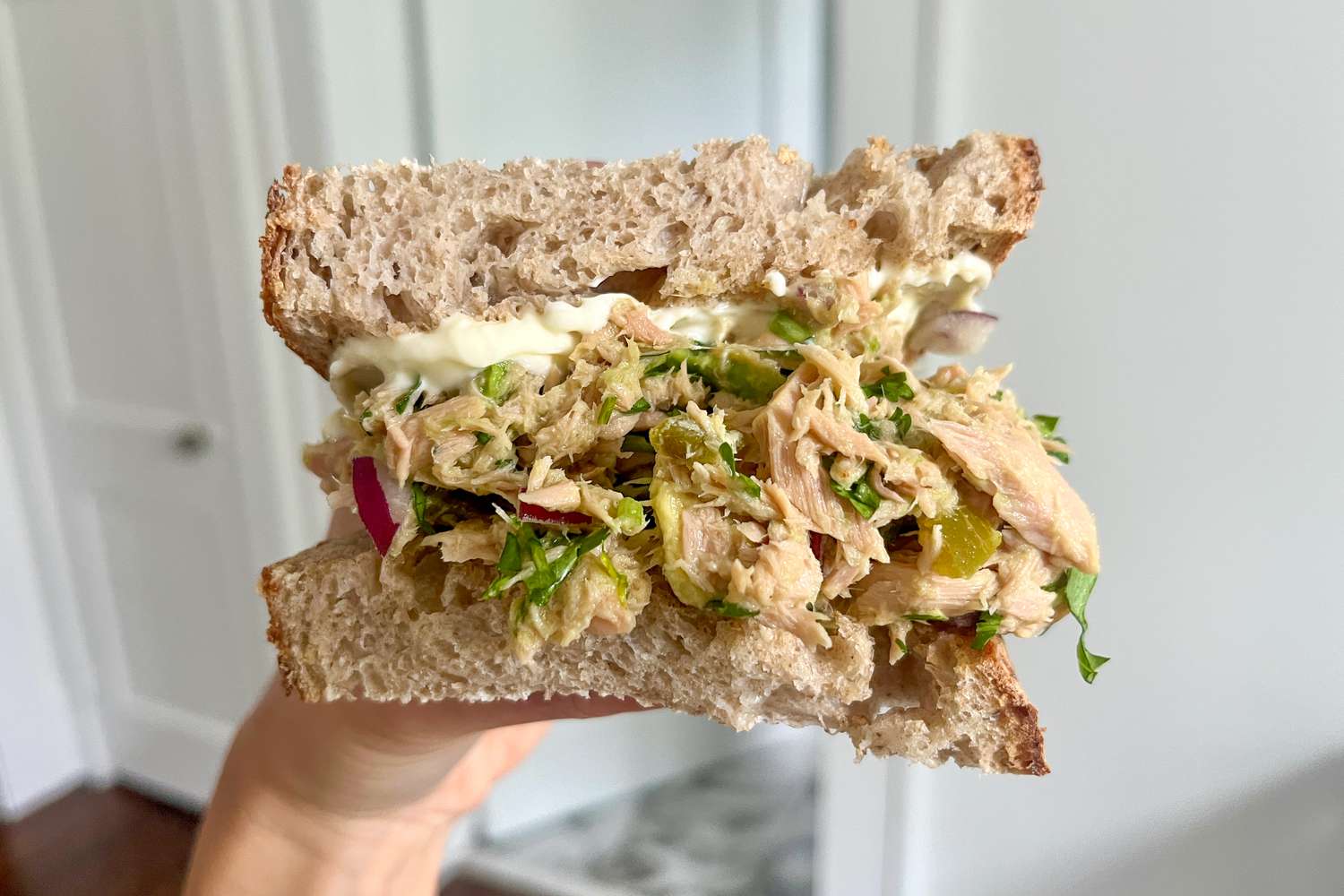 tuna avocado sandwich (cross-section facing camera)