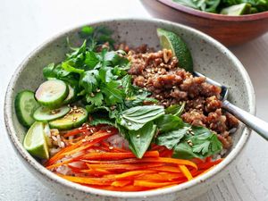 Rice Bowl Recipe with Pork - pork rice bowl with fork