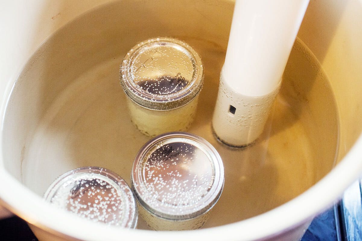 Sous Vide Cheesecake Recipe cook the cheesecakes sous vide