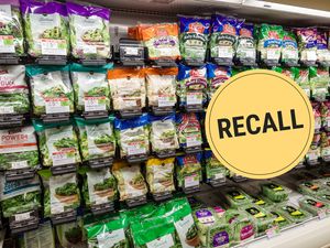 Supermarket shelf stocked with packaged salad kits yellow recall sign placed above products