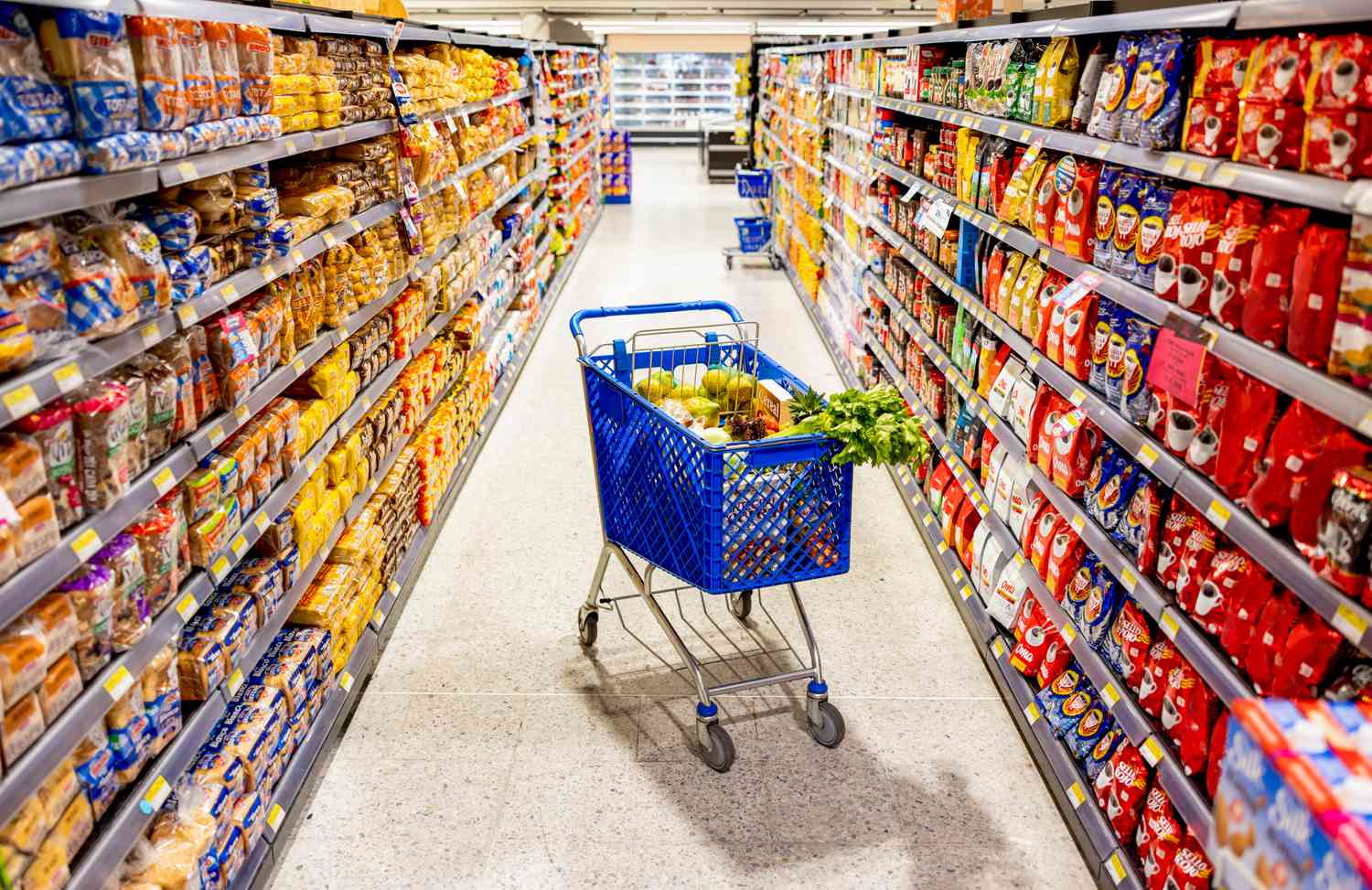 grocery cart 