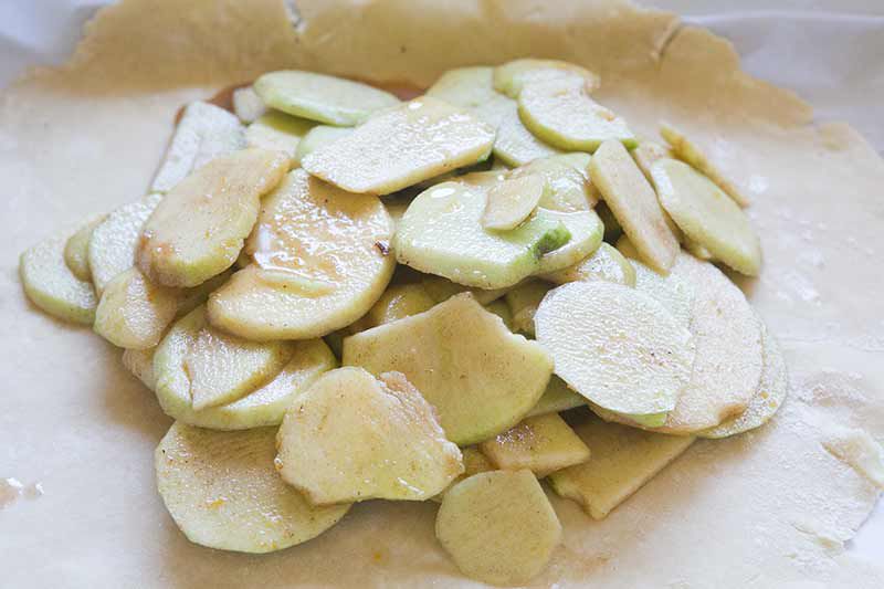 placing apples in dough for apple crostini