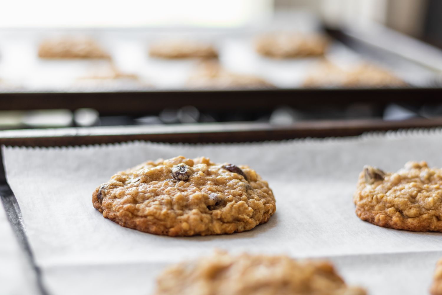 Side view of baked Oatmeal Raisin Cookies on a parchment lined baking sheet.