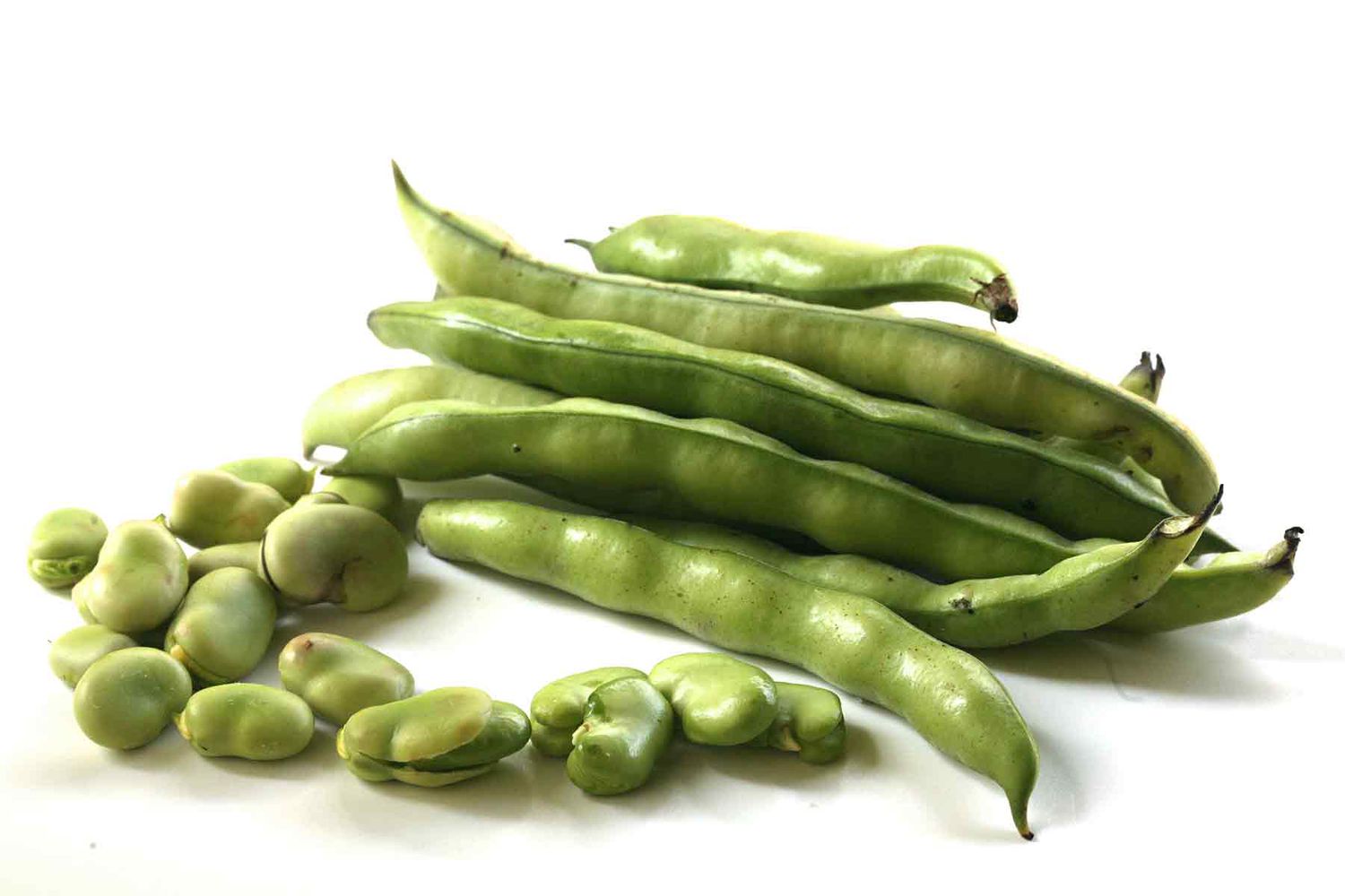 Fava Beans