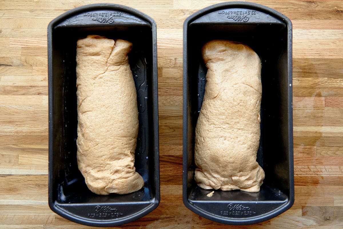 Honey Whole Wheat Bread let it rise