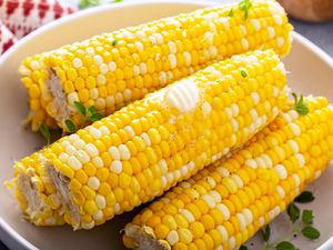 A plate with several ears of buttered corn garnished with herbs
