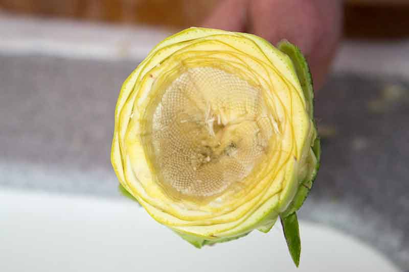 artichoke-soup-method-4