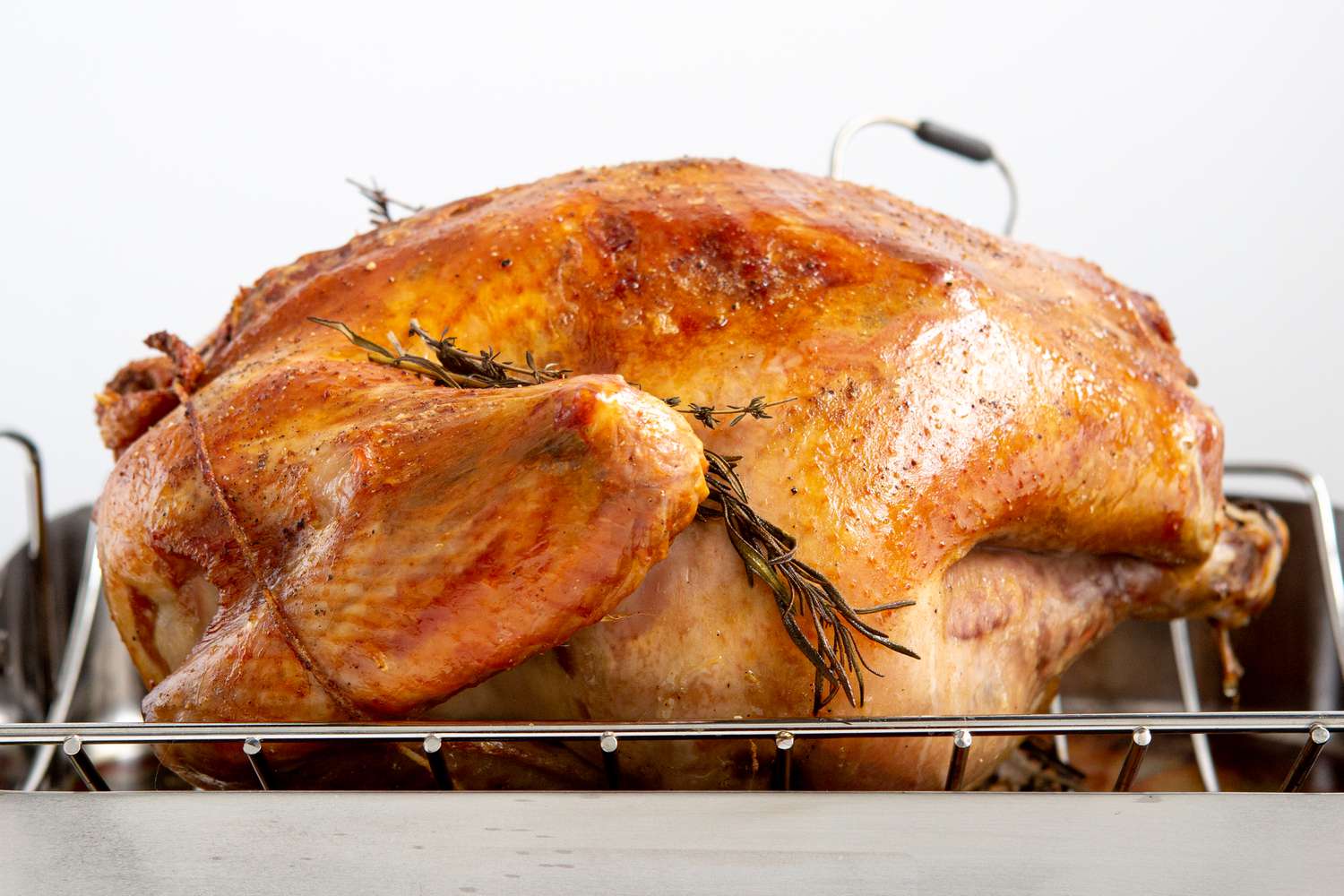 A whole turkey in a roasting pan.