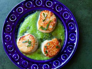 Seared Scallops with Asparagus Sauce