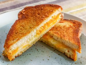 Side view of a grilled cheese sandwich on a toast, cut in half and placed on a plate