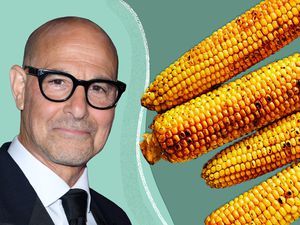 Stanley Tucci in a graphic designed image of him next to ears of corn