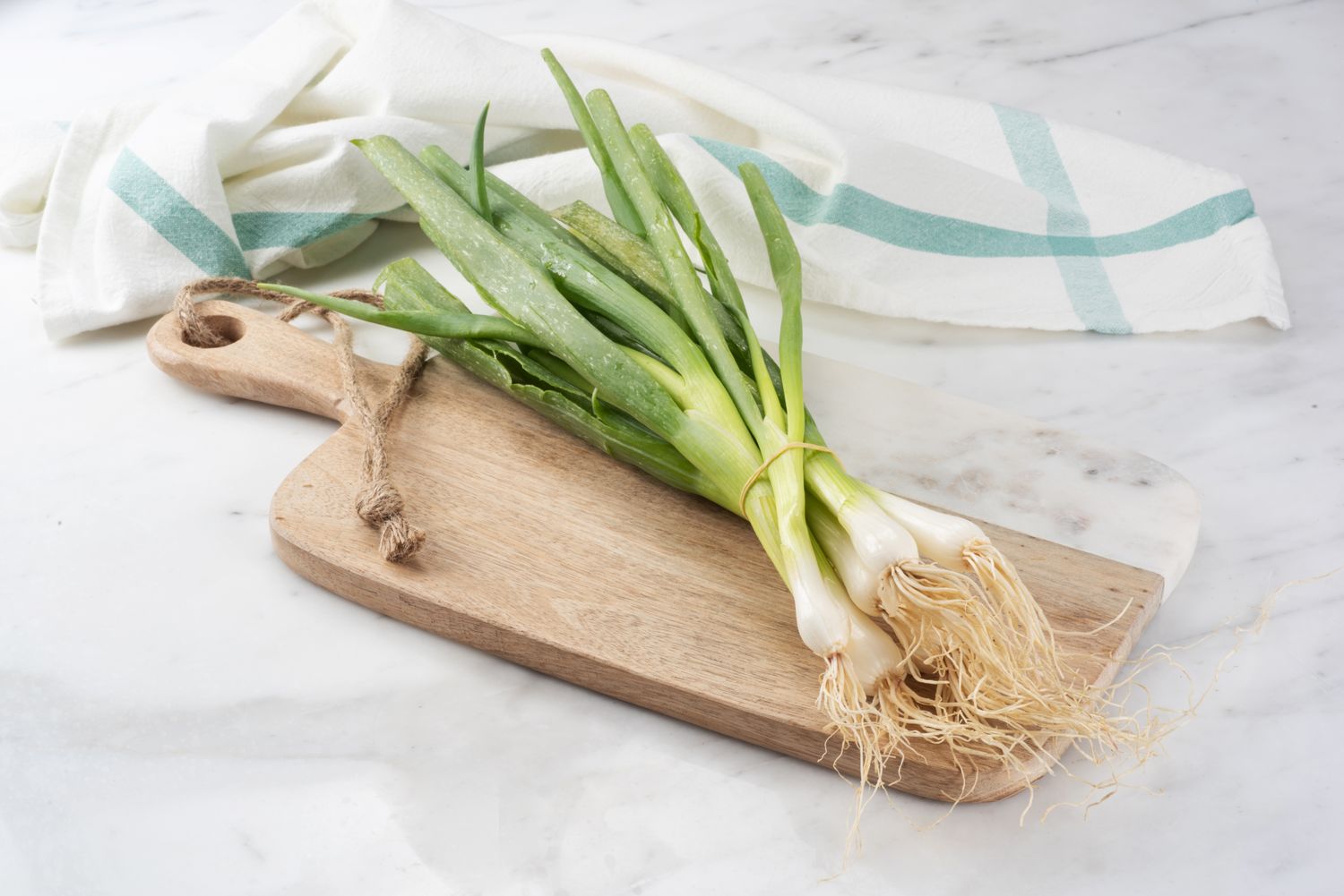 Bunch of green onions with roots on a wooden cutting board