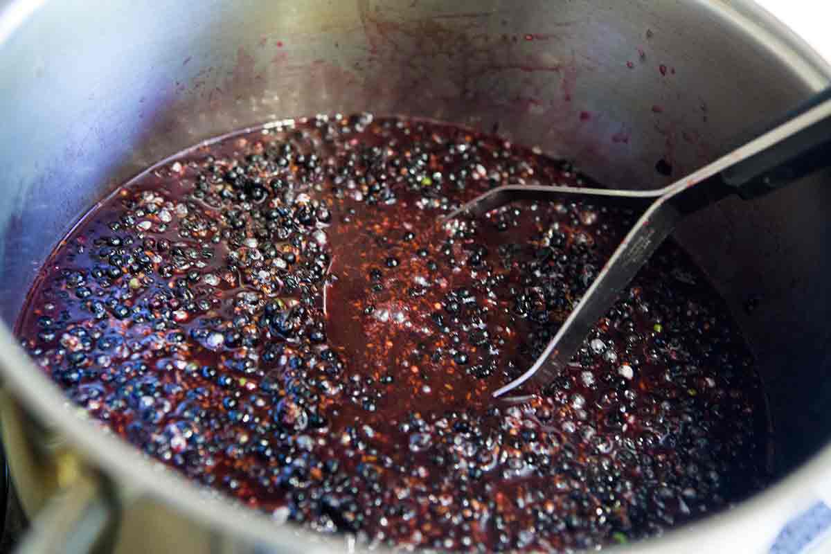 elderberry-jelly-method-4