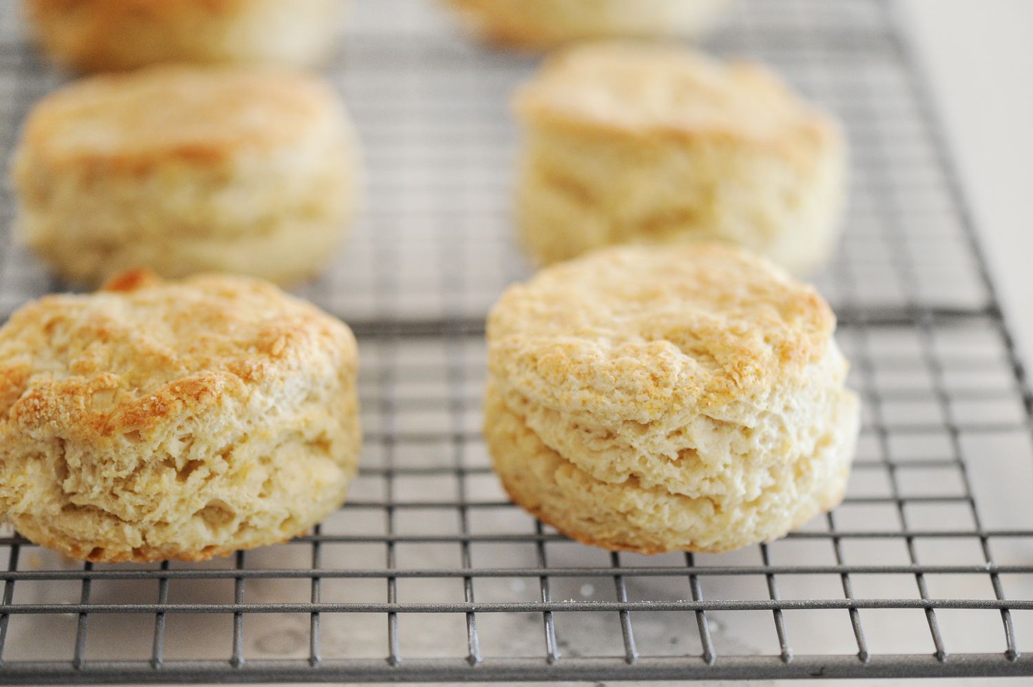 Side view of Authentic English Scones cooling on a rack.