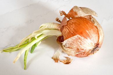 A sprouted onion with green shoots placed on a light surface