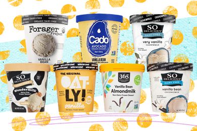 Vegan ice cream taste test