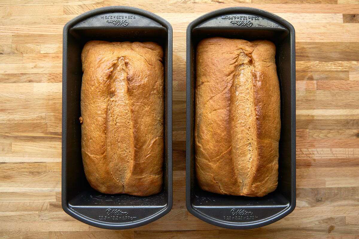 Whole wheat bread recipe bake until golden