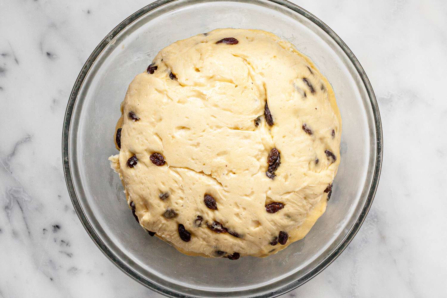 Cinnamon Swirl Raisin Brioche Loaf Dough after Rising in the Refrigerator 
