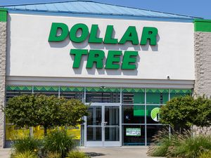 Entrance to a Dollar Tree store with prominent signage and decorative plants in the foreground