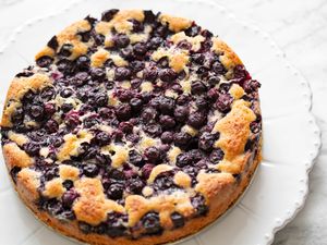 Blueberry Cake on a Plate
