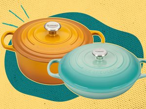 Dutch oven and braiser over an illustrated background
