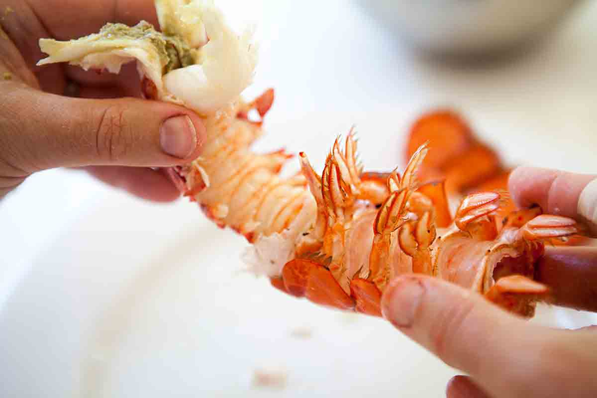 Pull out the lobster tail meat