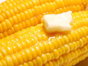 dollop of butter on a cob of corn (close-up)