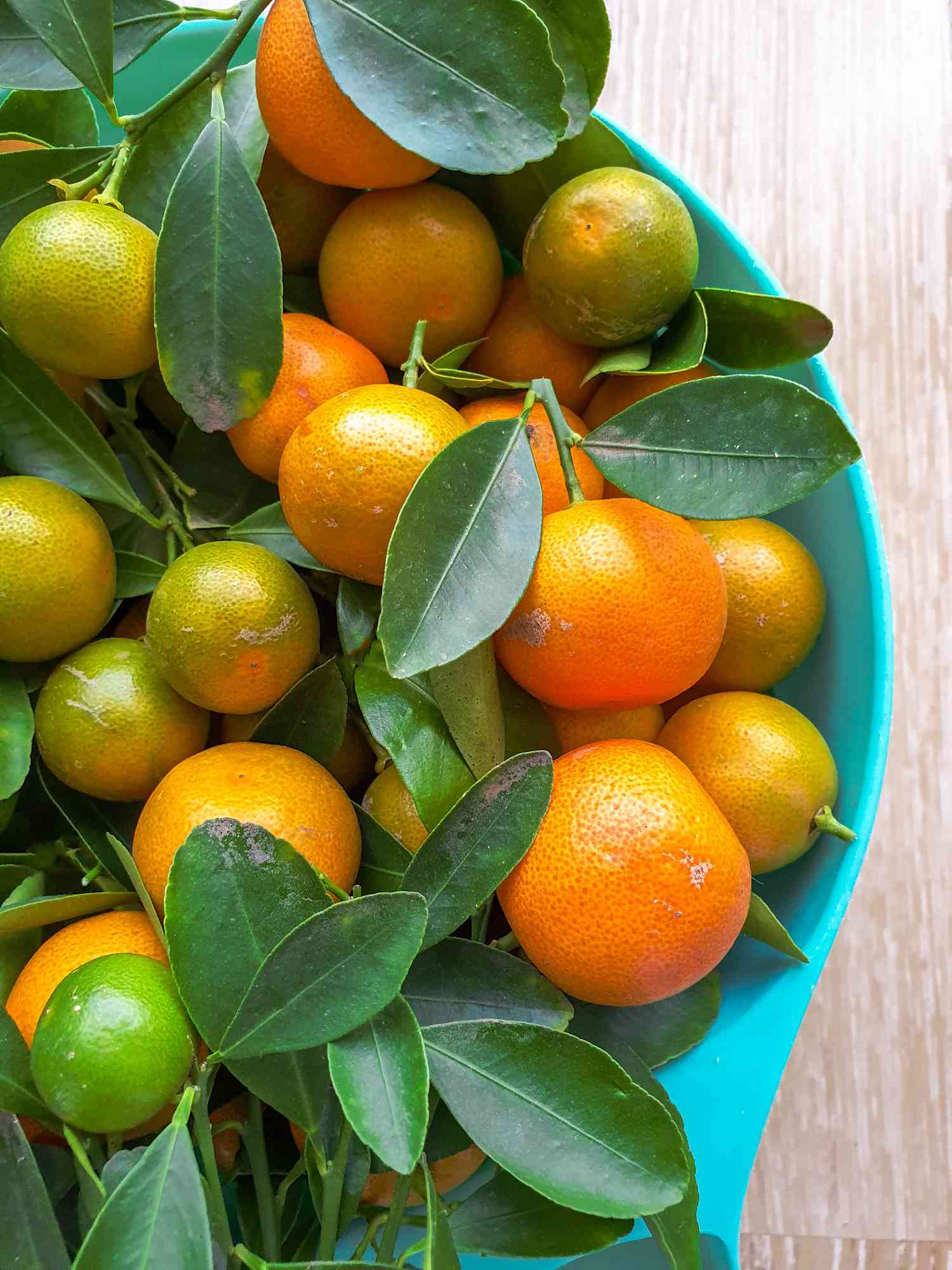 Bowl of Calamansi With Stems and Leaves 