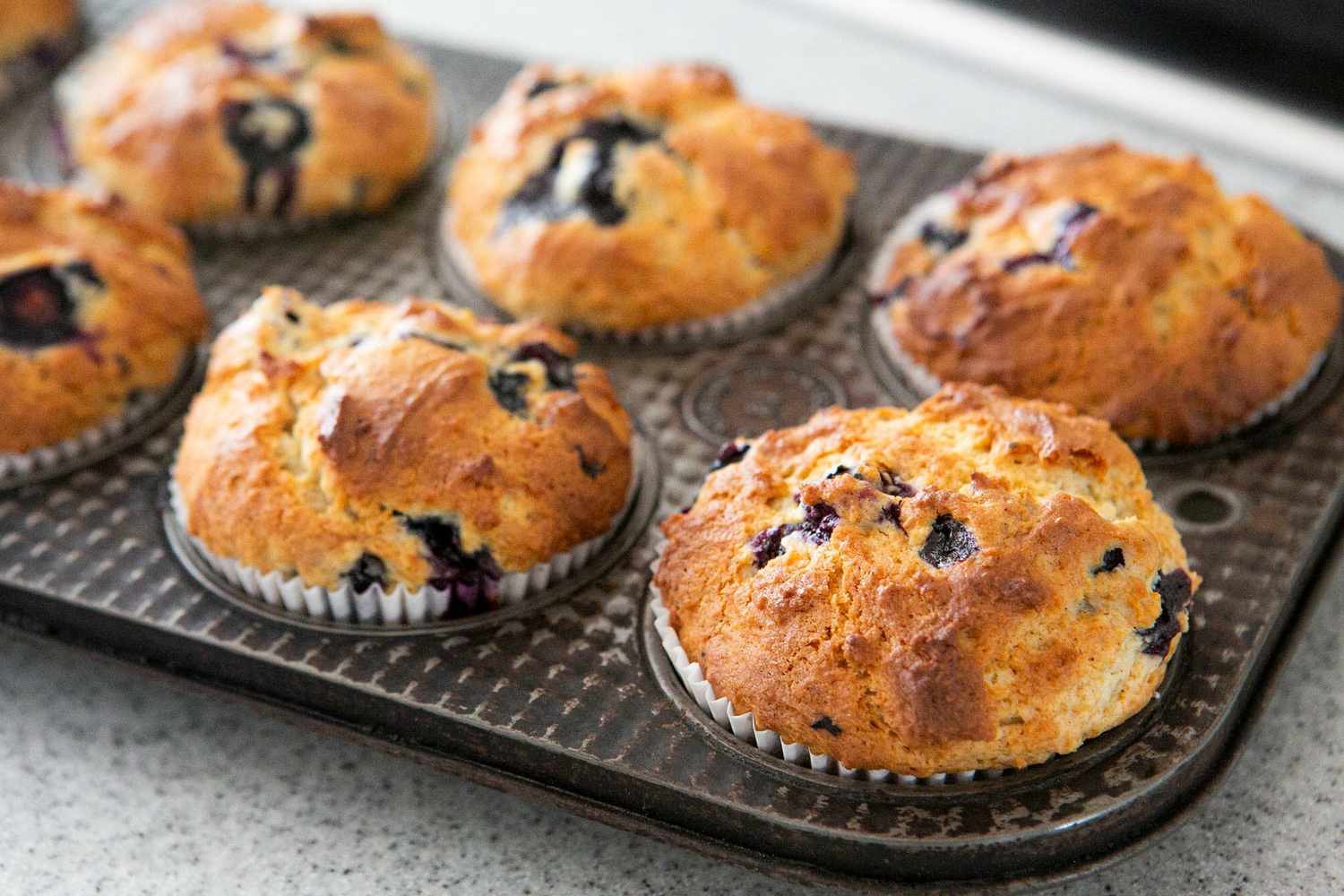 Baked blueberry muffins in the muffin tin after baking